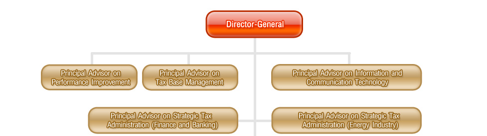 Revenue Operations Org Chart