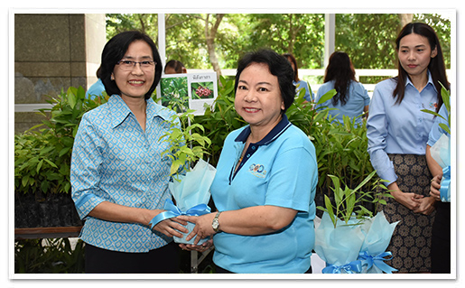 รูปภาพ 01