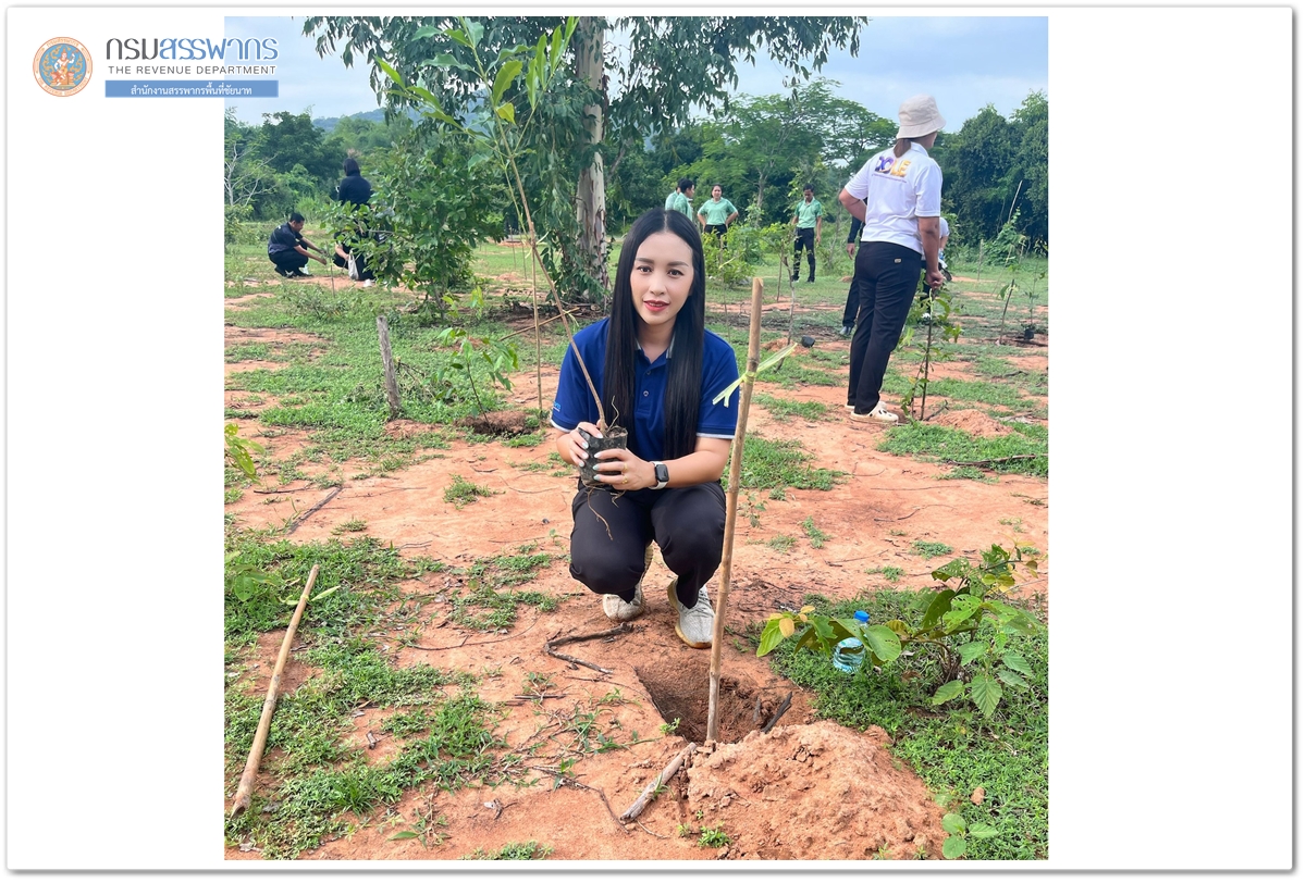ประมวลภาพกิจกรรมปลูกป่า ภายใต้โครงการ 