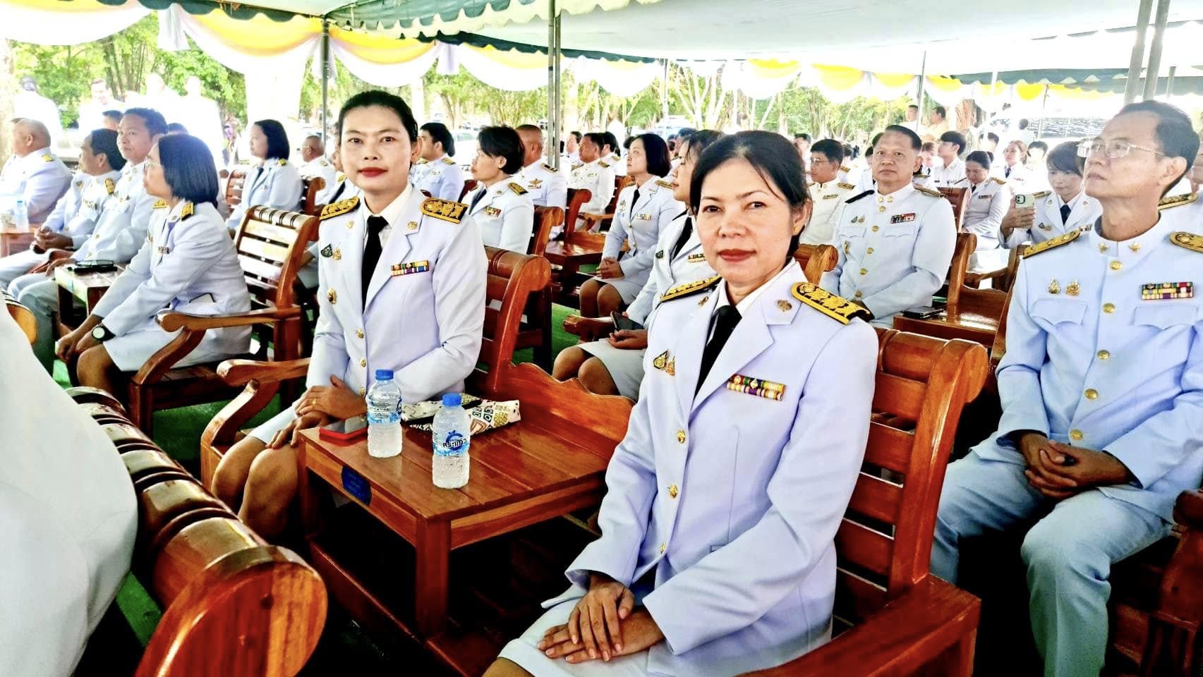 Click Enlarge Image