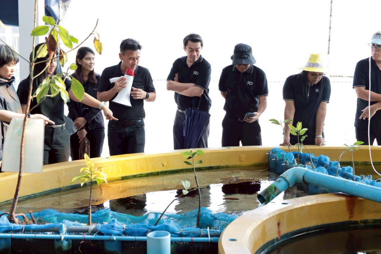 กิจกรรม 